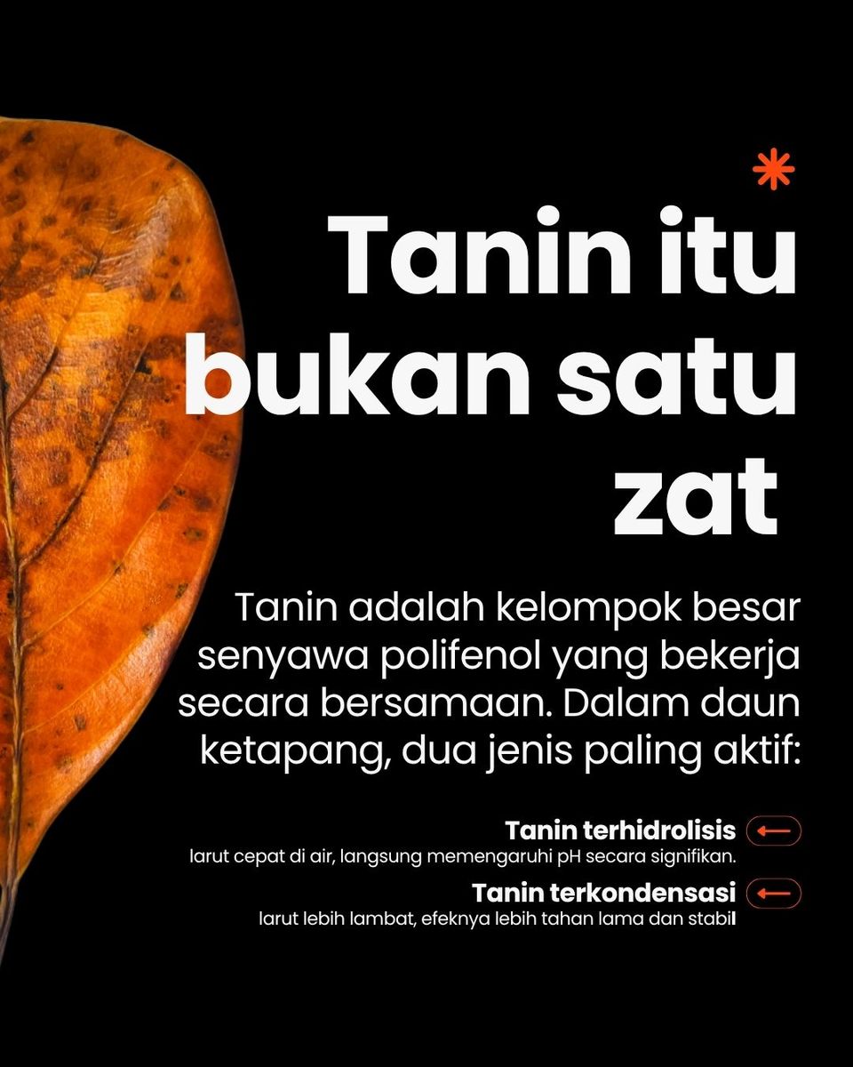 Pop Betta bukan satu zat
